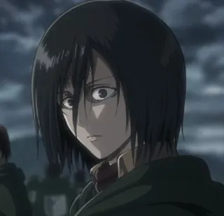 🌿 Mikasa Ackerman Attack on Titan Mikasa, Attack on Titan, anime, character, shonen telegram sticker