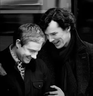 😂 Sherlock Holmes Sherlock 夏洛克, 约翰·华生, 本尼迪克特·康伯巴奇, 马丁·弗瑞曼, 友谊, 二人组 whatsapp sticker
