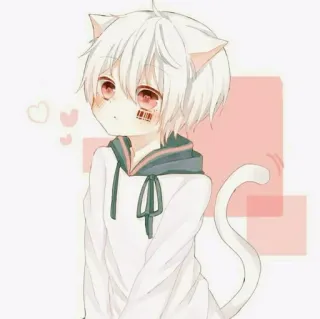🎟 Anime, Kucing, Anak laki-laki, Kawaii, Manga, Lucu, Telinga telegram sticker