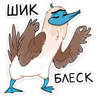 👌 ШИК
БЛЕСК птица, олуша, голубоногая олуша, медитация, шик, блестки telegram sticker