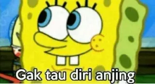 😒 Spongebob Gak tau diri anjing spongebob, kartun, meme, hinaan whatsapp sticker