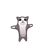 🥶 gatto, animale, meme, divertente, carino, ballo telegram sticker