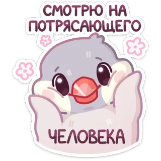 😍 СМОТРЮ НА ПОТРЯСАЮЩЕГО ЧЕЛОВЕКА vogel, schattig, aanbiddelijk, liefde, bericht telegram sticker