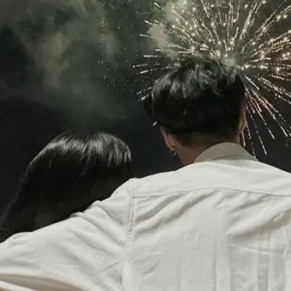 🎆 fogos de artifício, celebração, noite, casal, romance, evento, céu telegram sticker