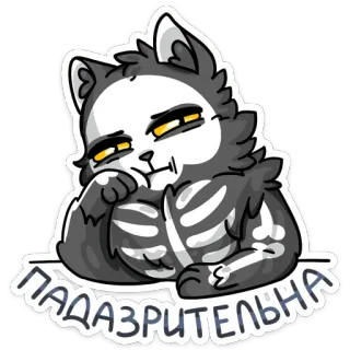 😑 ПАДАЗРИТЕЛЬНА gato, esqueleto, gracioso, pegatina, sospechoso, animal, dibujo animado whatsapp sticker