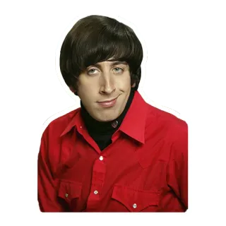 😏 Howard Wolowitz The Big Bang Theory sitcom, nerd, big bang theory, howard, engineer telegram sticker