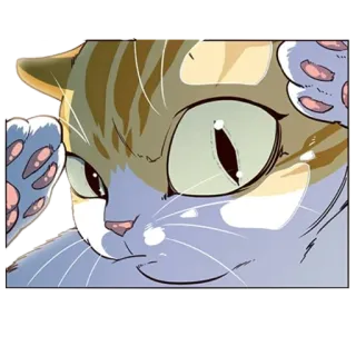 🤨 kucing, ketakutan, lucu, binatang, stiker, kartun telegram sticker
