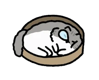 😴 gato, animal, mascota, lindo, gatito, dibujo animado telegram sticker