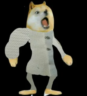 😧 Doge doge, meme, grappig, hond, internet meme, shiba inu telegram sticker