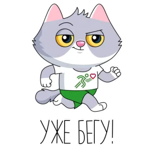 🏃‍♀️ УЖЕ БЕГУ! chat, course, dessin animé, russe, dépêche, animal, mignon telegram sticker