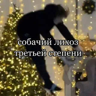 😐 собачий лихоз третьей степени russian language, phrase, dog house telegram sticker