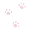 🐾