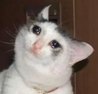😢 sad cat, crying cat, meme, cat, animal, pet, sad, emotional telegram sticker