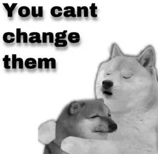 😂 You cant change them Meme, Doge, Perro, Lindo telegram sticker