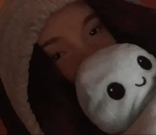 🤍 personne, yeux, sweat à capuche, peluche, sourire, mignon telegram sticker