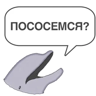 👄 ПОСОСЕМСЯ? delfín, ruso, bocadillo, animal, mar, mamífero whatsapp sticker