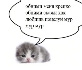 ☹️ обними меня крепко обними скажи как любишь поцелуй мур мур мур telegram sticker