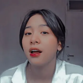 🦖 persona, mujer, asiática, retrato, chica, cara telegram sticker