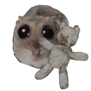 🧸 햄스터, 테디베어, 귀여운, 동물, 장난감 whatsapp sticker
