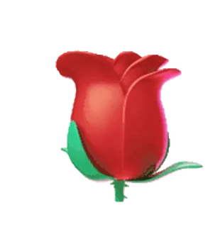 🌹 flor, rojo, naturaleza, rosa, planta telegram sticker