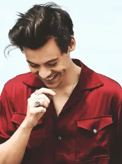 💸 Harry Styles harry styles, chanteur, acteur, homme, célébrité, pop star telegram sticker