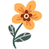 🌼