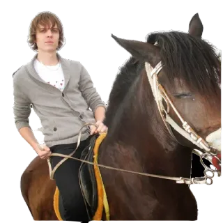 Дмитрий Шамов  😎🤟 telegram stickers