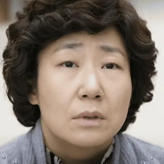 😶‍🌫️ woman, person, portrait, face, korean telegram sticker