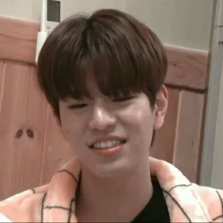🐶 personne, portrait, kpop, célébrité, asiatique, homme whatsapp sticker
