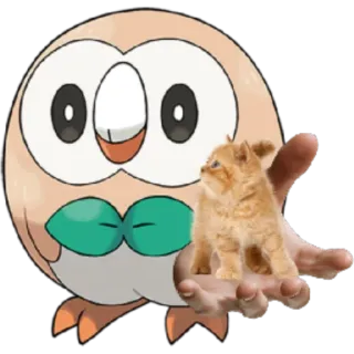 😁 Rowlet pokemon, owl, cat, kitten, cute, animal, cartoon telegram sticker