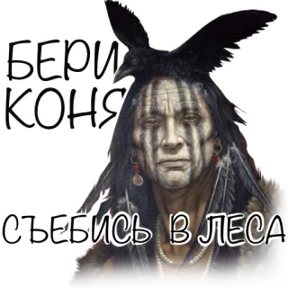 🖕 БЕРИ КОНЯ СЪЕБИСЬ В ЛЕСА Native American, crow, Russian text, portrait telegram sticker