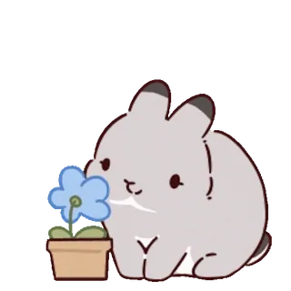 โบ๏ธ Mochi Rabbit Milk and Mocha telegram sticker