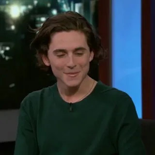 💎 Timothée Chalamet diễn viên, người nổi tiếng, đàn ông, Timothée Chalamet telegram sticker