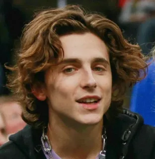 🦇 Timothée Chalamet Actor, Celebridad, Timothée Chalamet, Retrato, Hombre, Persona telegram sticker