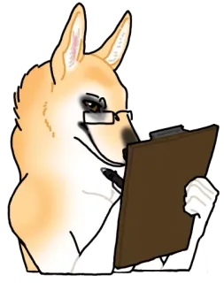 ✍ anjing, doge, papan klip, kacamata, menulis, serius telegram sticker