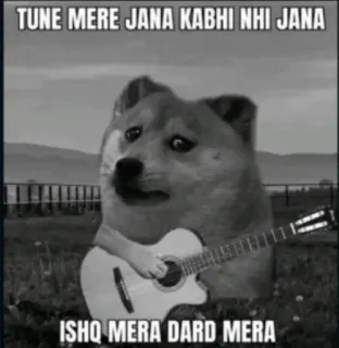 😞 TUNE MERE JANA KABHI NHI JANA
ISHQ MERA DARD MERA doge, dog, guitar, meme, sad, hindi telegram sticker