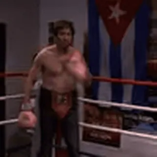 🥊