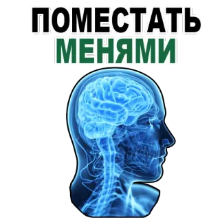 😱 ПОМЕСТАТЬ МЕНЯМИ brain, mind, head, anatomy, russian telegram sticker