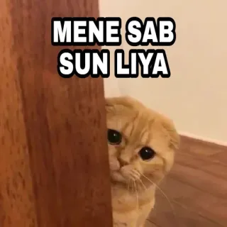 🍁 MENE SAB SUN LIYA Katze, gucken, lustig, Meme telegram sticker
