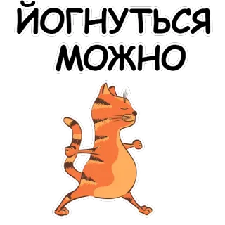YogaCat @stickersb2b whatsapp stickers