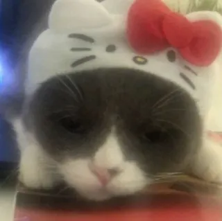 😞 Hello Kitty 猫, 动物, 宠物, 小猫, Hello Kitty, 帽子 telegram sticker