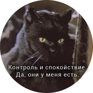 Кот Салем whatsapp stickers
