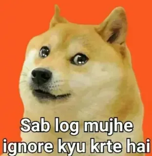 🥺 Doge Doge Meme Sab log mujhe ignore kyu krte hai telegram sticker