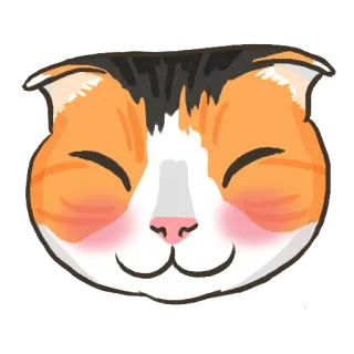 😊 gato, animal, animal de estimação, fofo, kawaii, tricolor, adesivo telegram sticker