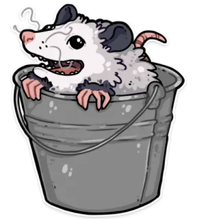 🙊 Опоссум, Ведро, Животное, Милый, Смешной, Мультфильм, Дикая природа whatsapp sticker