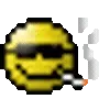 😎