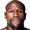 🥊
