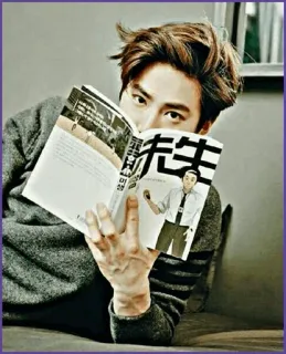 🖇 先生 hombre, libro, leyendo, retrato, asiático, caracteres chinos telegram sticker