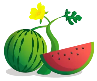🍉 watermeloen, fruit, eten, plak, zomer telegram sticker