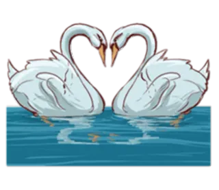 🦆 cisnes, pássaros, amor, coração, água, romance, animais, natureza telegram sticker